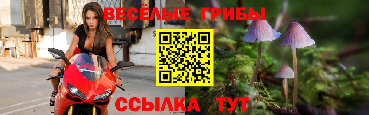 Псилоцибиновые грибы Magic Shrooms Новый Уренгой